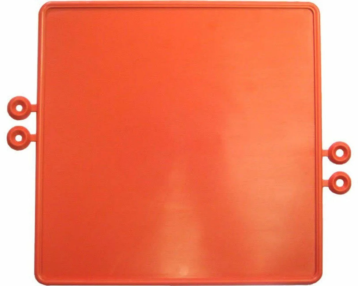 Plastic Number Plate CSK Fitting 220mm