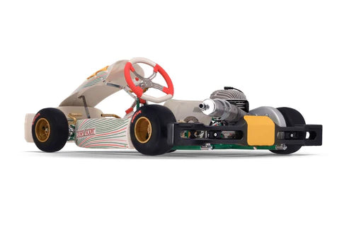 Tony Kart Rookie EVS